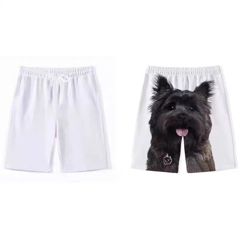 Yorkie Funny Shorts